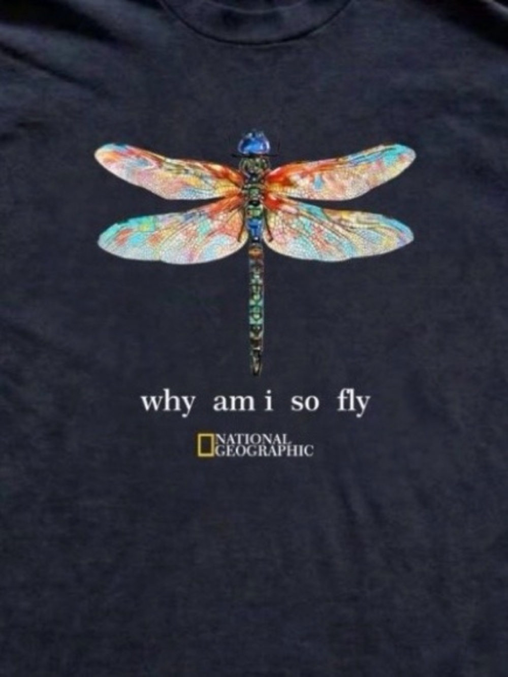 National Geographic Black Tee with Pastel Dragonfly Graphic - Picture 2 of 2